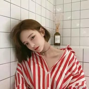 迎风而立的狮子