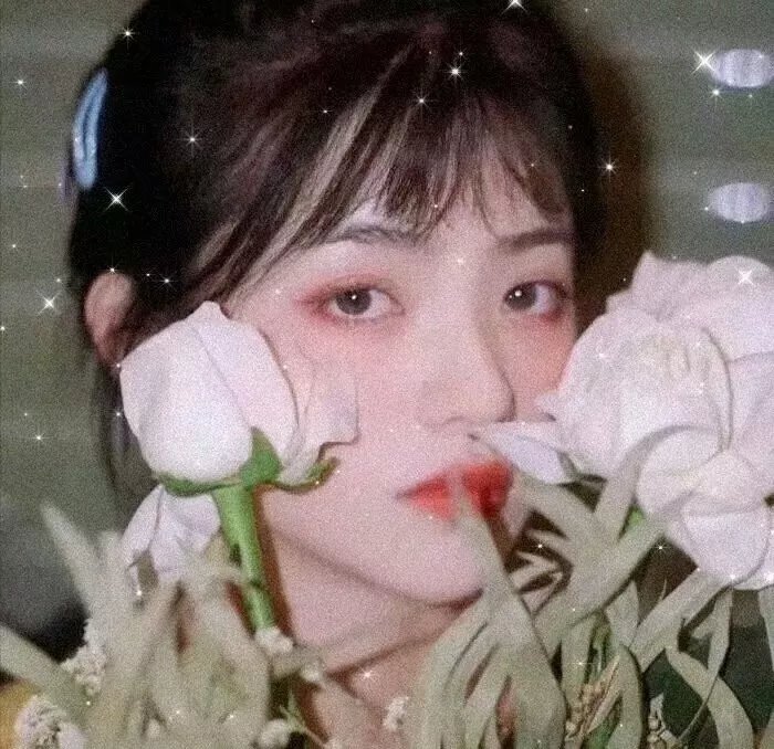 鱼之梦